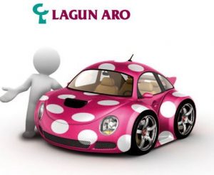 seguros_lagunaro_cochelunares