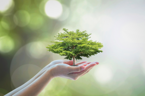 nuestro compromiso con la sostenibilidad